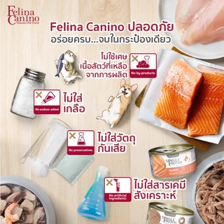Felina Canino (สำหรับน้องแมว) ไม่เติมเกลือ ไม่ใส่วัตถุกันเสีย ( ขนาด 70 กรัม / 1 กระป๋อง ) (สามารถเลือกรสชาติได้)