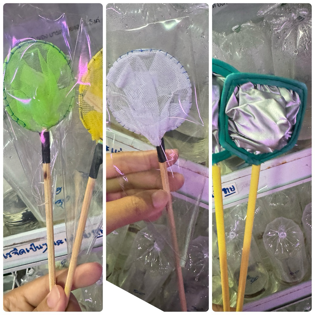 กระชอนเล็ก ตกปลากัด ปลาหางนกยูง ปลาบอนลูน