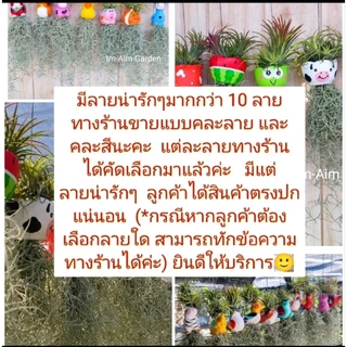 ((1ชุด10ชิ้น))เคราฤาษีแต่งตุ๊กตาสัตว์-กระถางเซรามิก-กระถางพลาสติกสีพาสเทล งานคุณภาพเคราสวยๆตรงปก