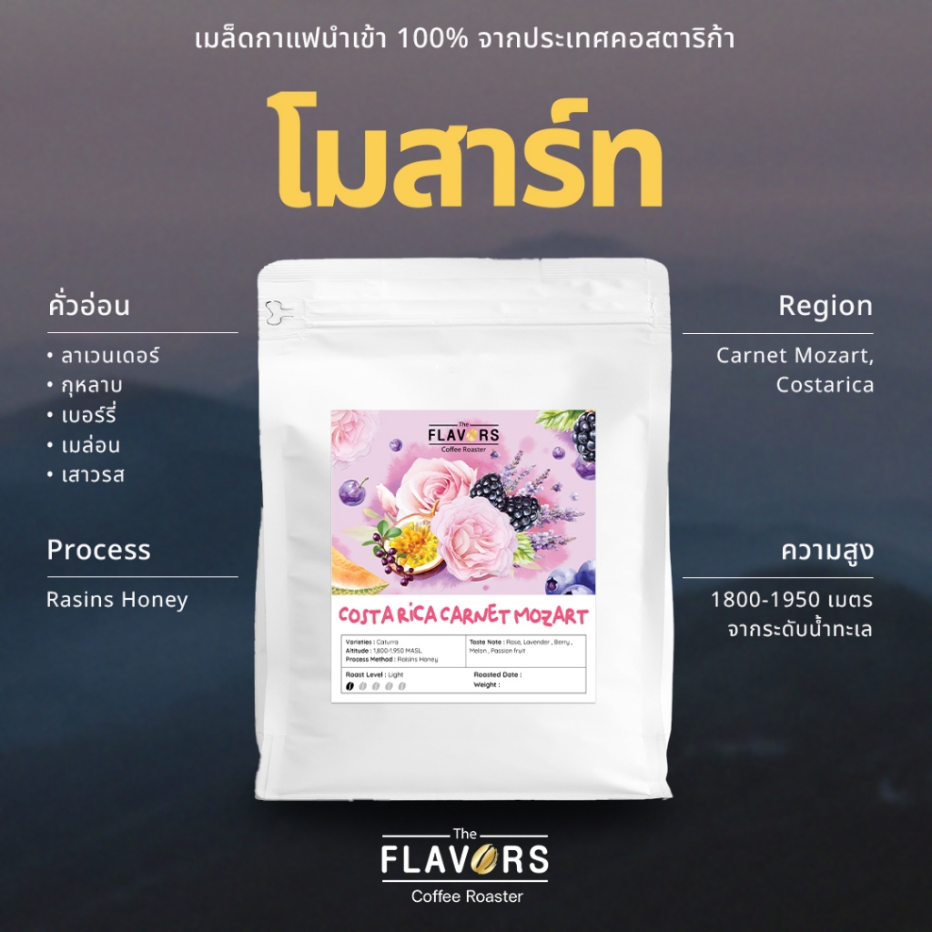 เมล็ดกาแฟคั่วอ่อน 'คอสตาริก้า โมสาร์ท' หอมมวลดอกไม้ ขนาด 100-200 ก. นำเข้า 100%