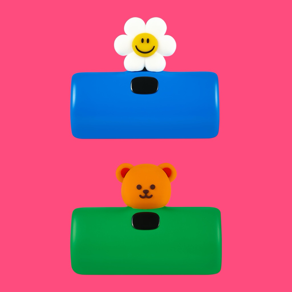 🌼Wiggle Wiggle🌼 Fast Charger TypeC Power bank ความจุ 4800 mAh พกพาง่าย ลายน่ารัก มีให้เลือกทั้งสีฟ้าและสีเขียว