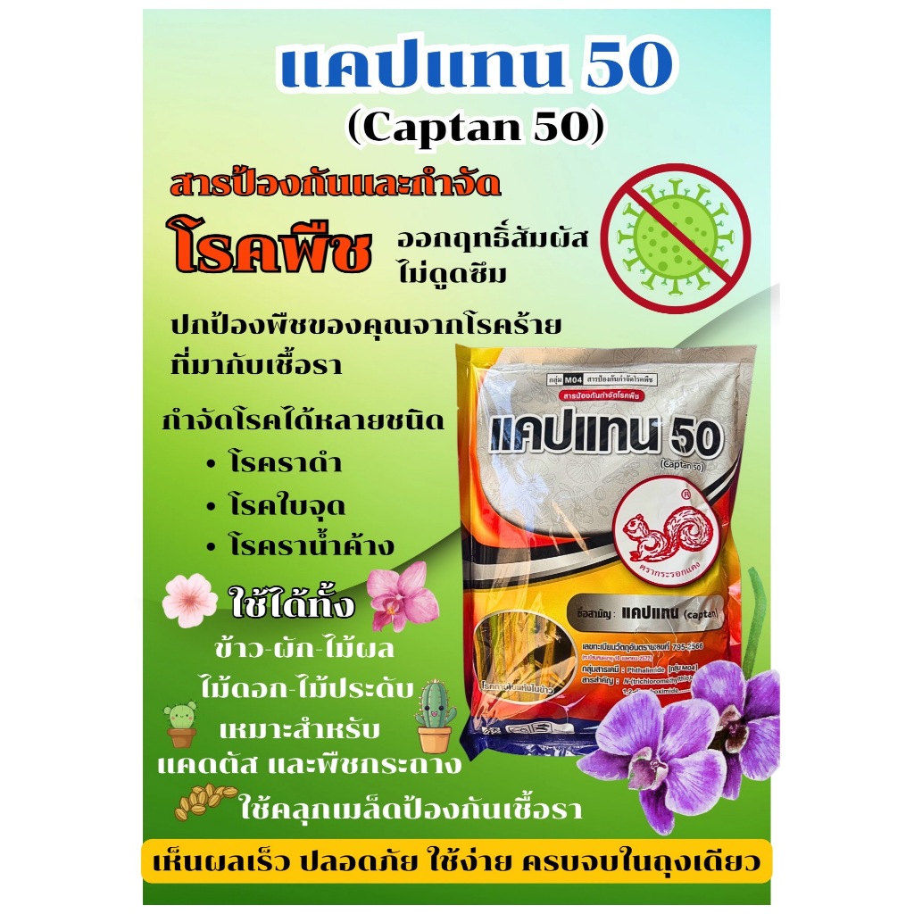 แคปแทน50 กำจัดเชื้อรา โรคพืช ขนาด 1กก. ป้องกันกำจัดโรคพืช เช่น โรคใบจุด โรคราน้ำค้าง โรคราสนิท โรคใบไหม้ โรคแอนแทรคโนส