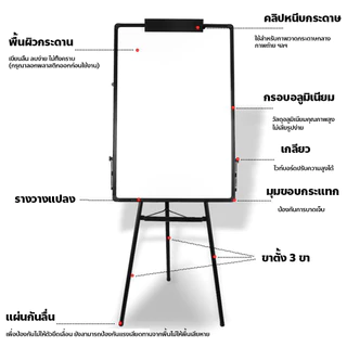 กระดานฟลิปชาร์ท ไวท์บอร์ดพร้อมขาตั้ง แม่เหล็ก พับเก็บได้ ขนาด 60x90 ซม ไวท์บอร์ดแม่เหล็ก ออฟฟิศ Whiteboard Flipchart