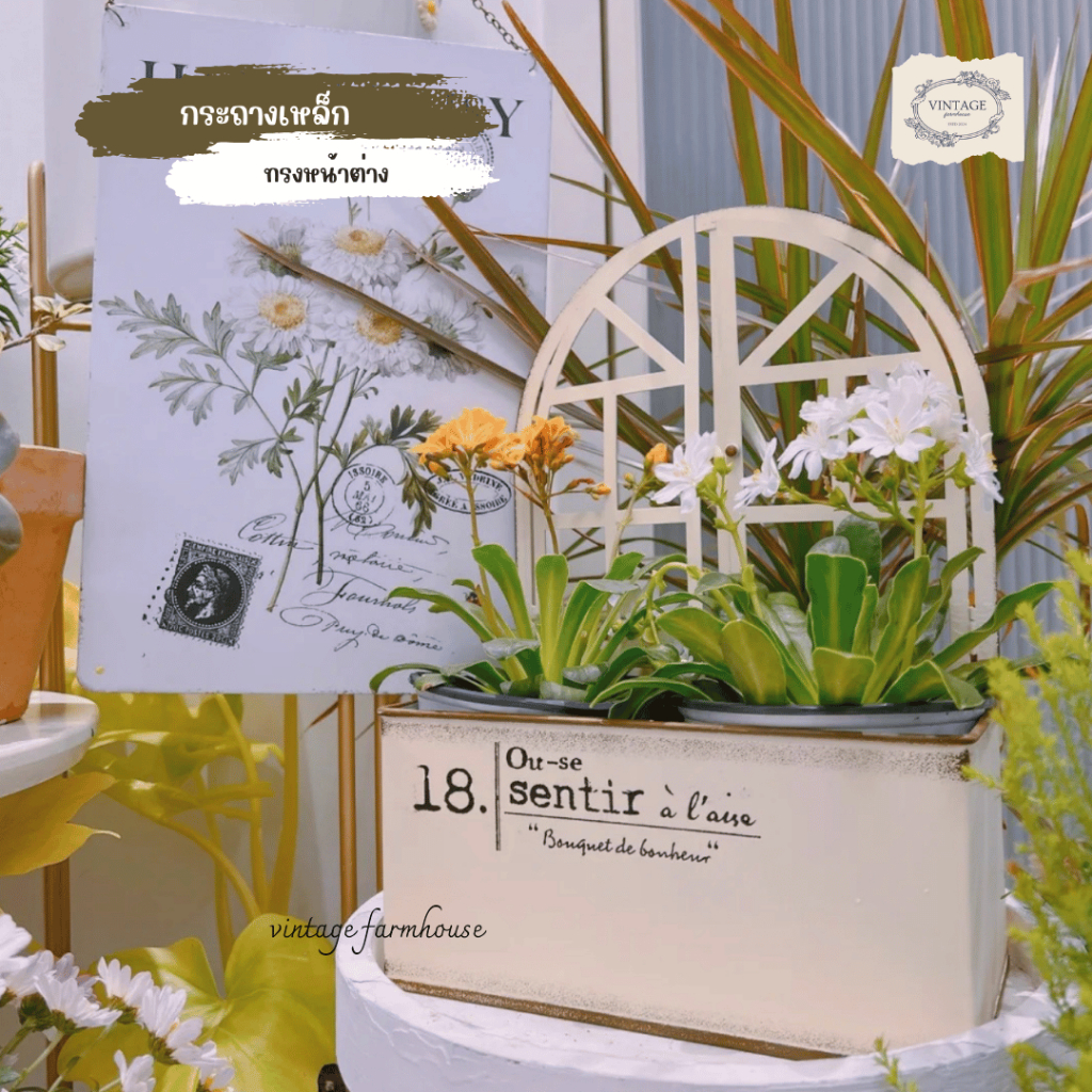 Vintage Farmhouse - กระถางเหล็ก กระถางต้นไม้ กระถางเหล็กสไตล์วินเทจ กระถางน่ารักๆ