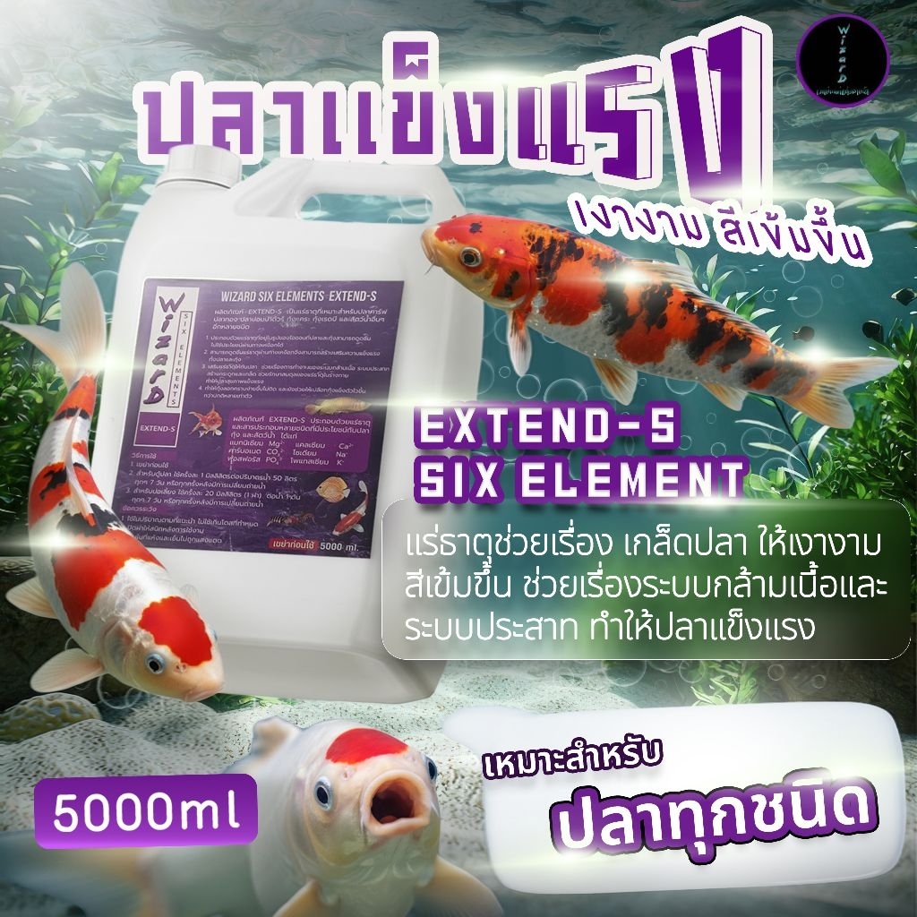 Wizard SIX ELEMENTS  EXTEND-S 5 L