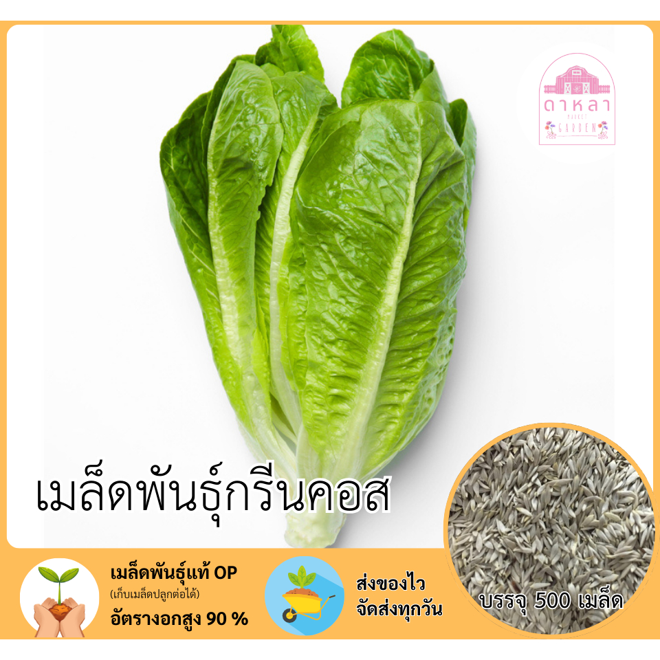 กรีนคอส จำนวน 500 เมล็ด