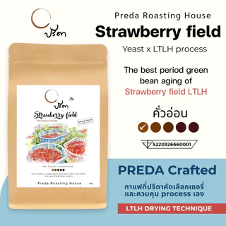 Strawberry field (เมล็ดกาแฟ LTLH คั่วอ่อน Light Roast Specialty กาแฟสตรอเบอรี่ ปรีดา)