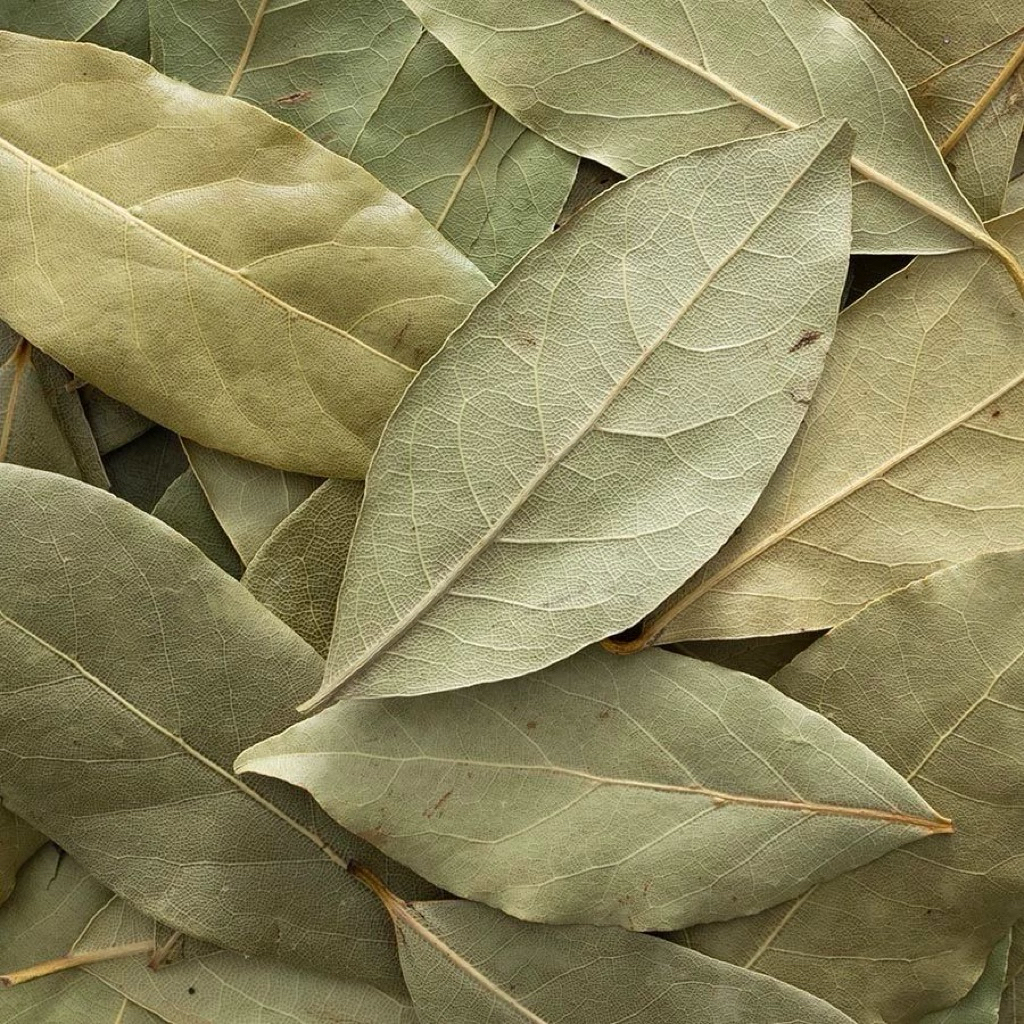 Bay Leaves 100g  ( Tej Patta )