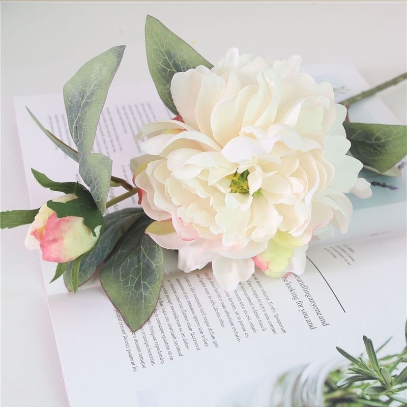 (จัดส่งภายใน 24 ชม)