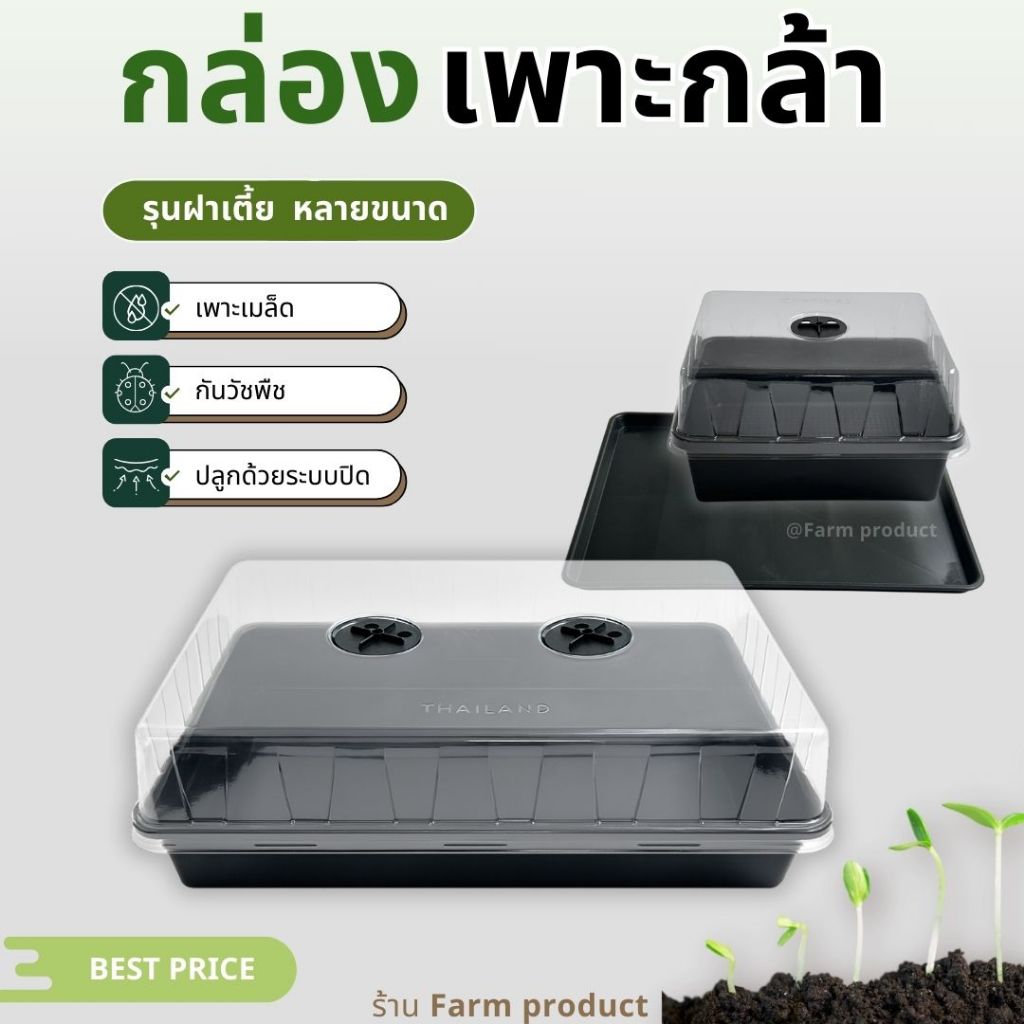 ชุดกล่องเพาะกล้า ถาดไดโซะพร้อมฝา l เพาะเมล็ด,แคคตัส, พร้อมกระถาง