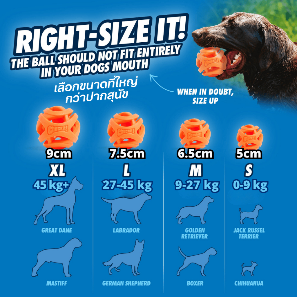 Chuckit! AIR FETCH BALL Dog Toy Easier breathing with Unique openings can be used as a treat ball - รูปที่ 6