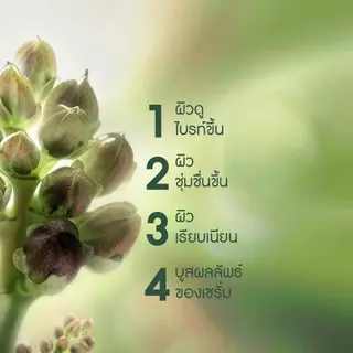 อีฟ โรเช Yves Rocher Anti-Age Global The Glow Renewal Essential Lotion 122 ml น้ำตบบูสผิวโกลว์กระจ่างใส
