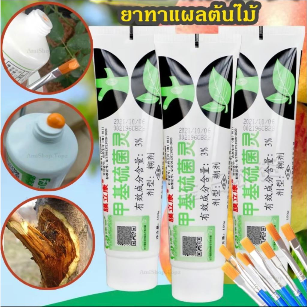 150g ยาทาแผลต้นไม้ สำหรับต้นไม้หลายชนิด ด่าง บุษราคัม เสน่จันทร์บอนไซ ป้องกันเชื้อรา