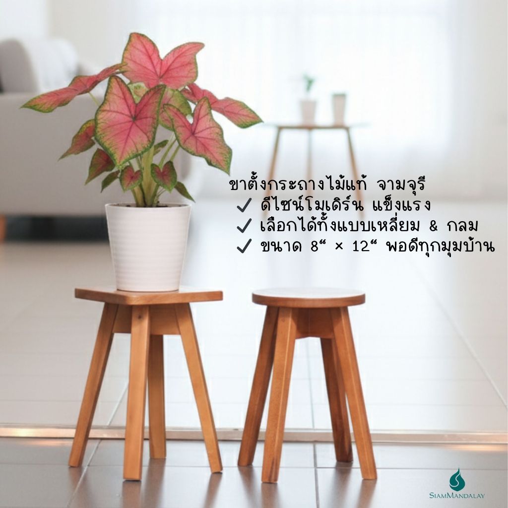 ขาตั้งกระถางต้นไม้ ไม้จริง มินิมอล แข็งแรง (8 นิ้ว / 12 นิ้ว) SiamMandalay