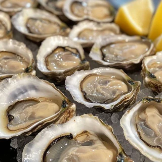 Korean Oyster Frozen หอยนางรมเกาหลีแช่แข็ง