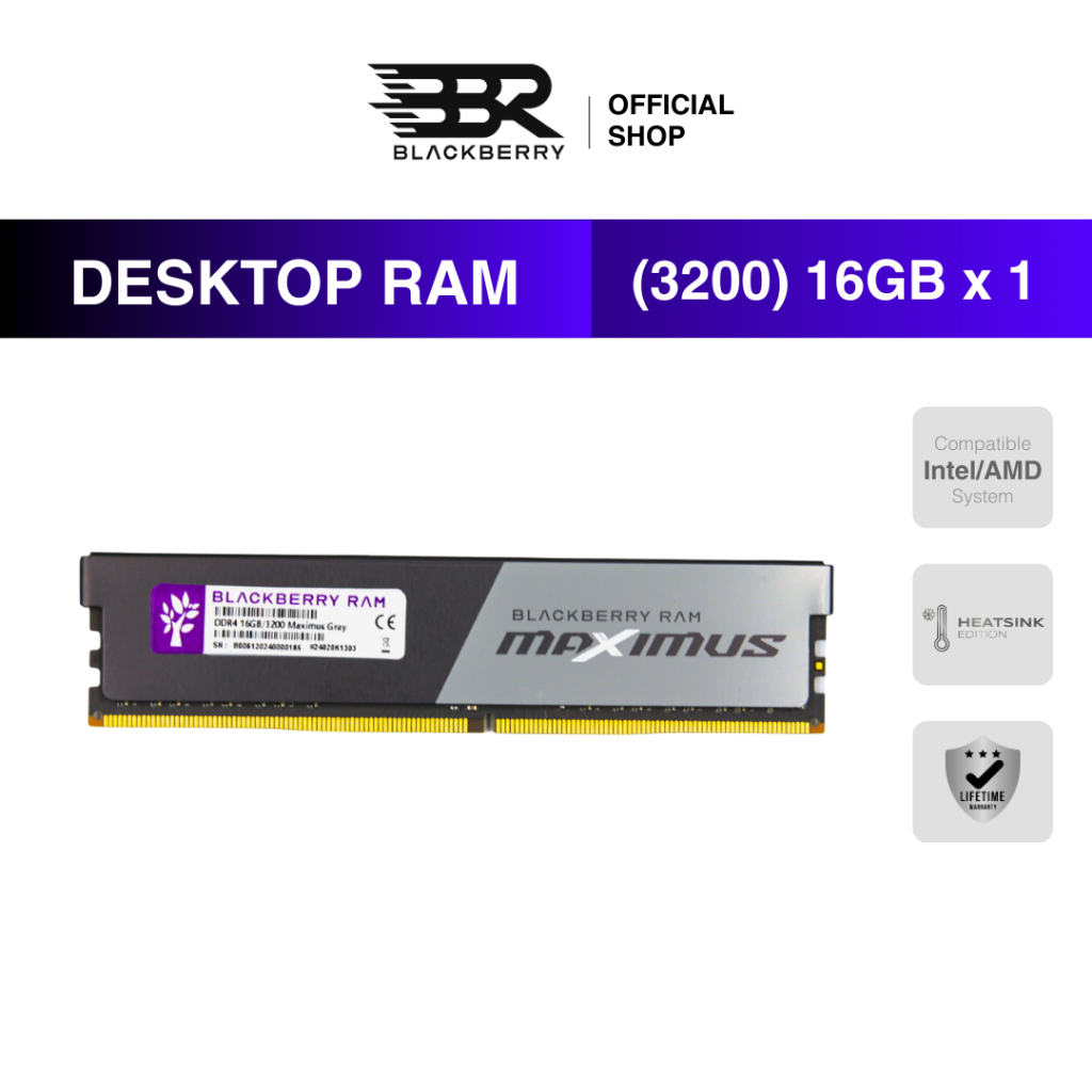 RAM PC DDR4 16GB 3200MHz Blackberry (BBR) MAXIMUS GRAY รองรับ Intel/AMD ประกัน Lifetime