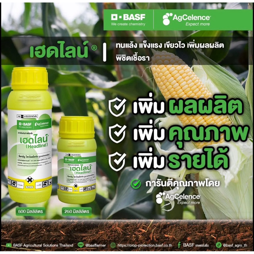 เฮดไลน์ (ไพราโครสโตรบิน) O-BASF ขนาด 500 ซีซี