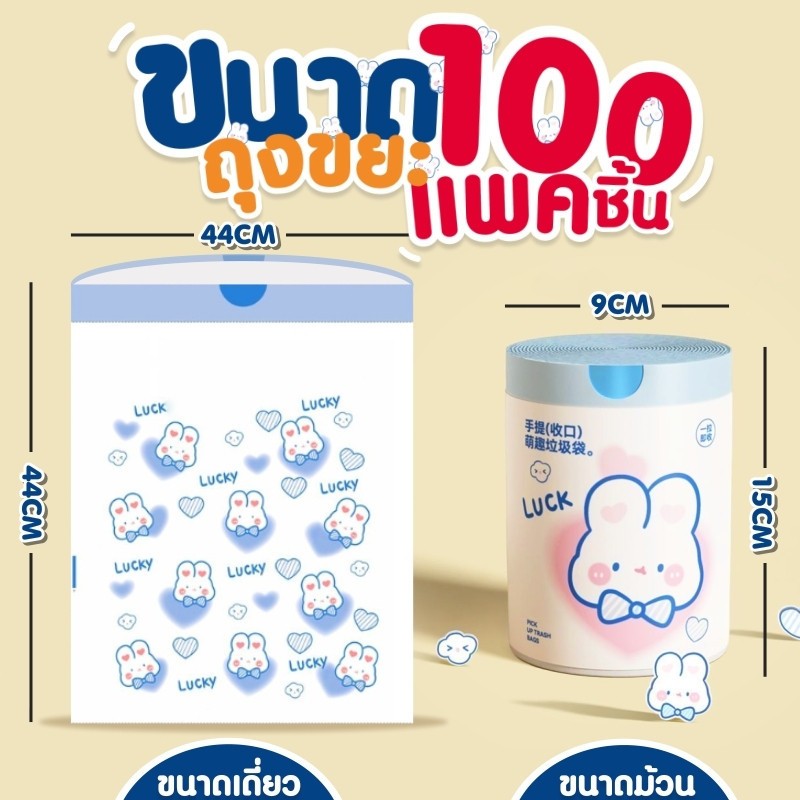 รูปภาพ 5