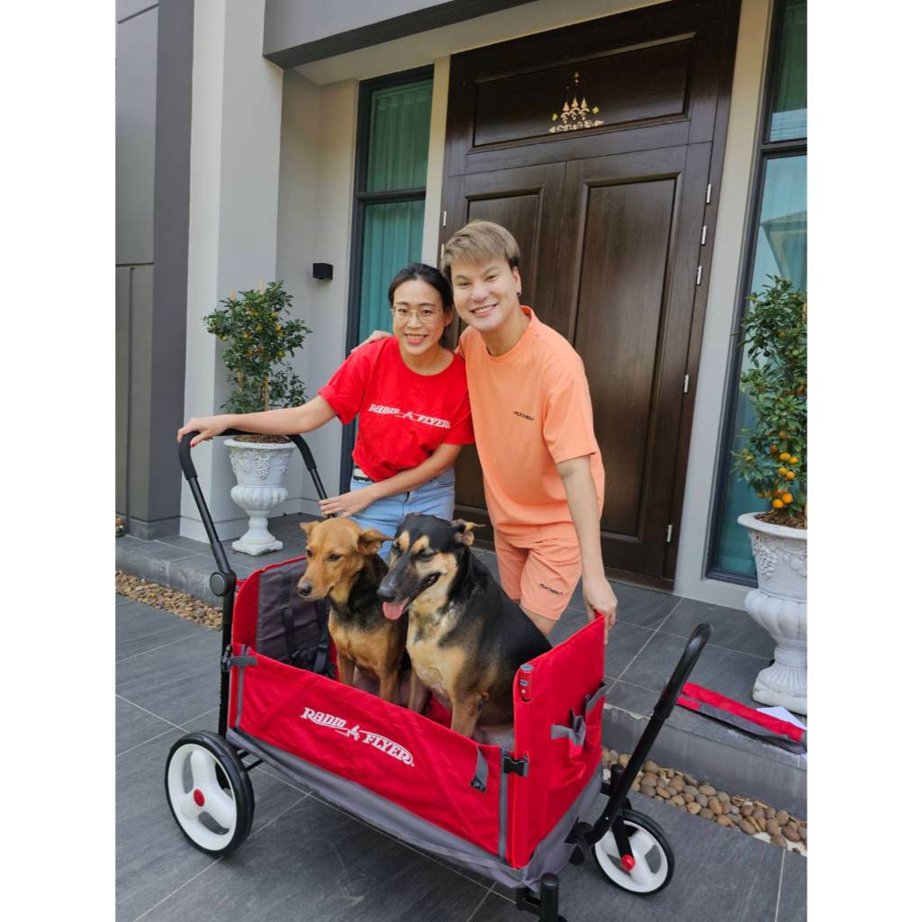 Radio Flyer Convertible Stroll N Wagon #3970