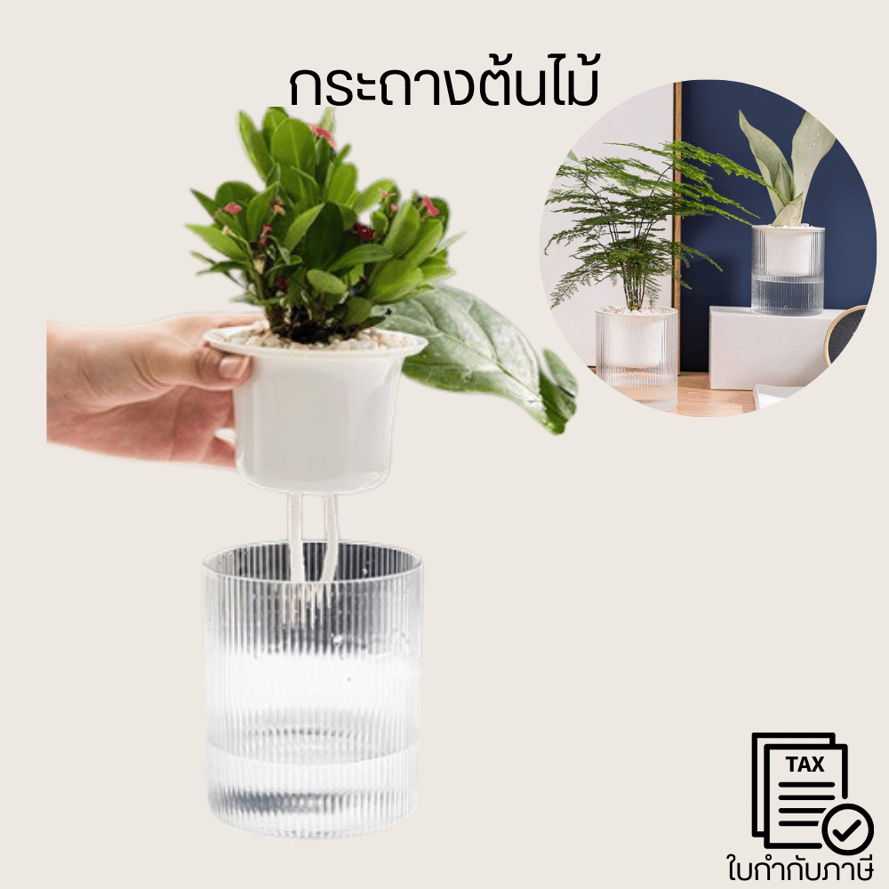 กระถางต้นไม้ระบบดูดซึมน้ำอัตโนมัติ ลดปัญหาการรดน้ำมากหรือน้อยเกินไป ดูแลง่าย เหมาะกับคนทำงานหรือผู้ที่ไม่ค่อยอยู่บ้าน