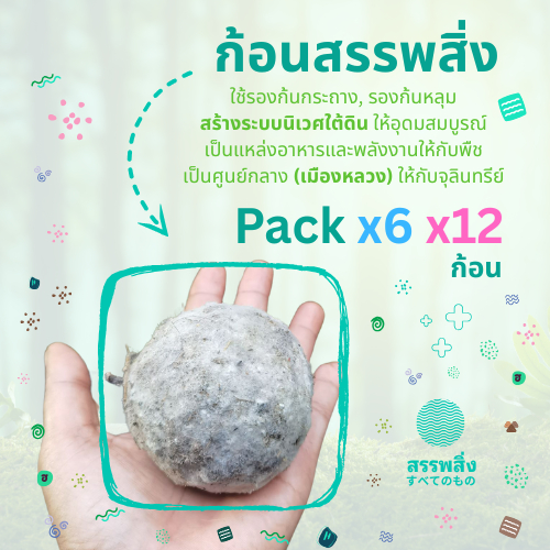 ก้อนสรรพสิ่ง ~ แพค x6 x12 ก้อน | ใช้สร้างระบบนิเวศใต้ดิน เป็นแหล่งอาหารและพลังงานให้กับดินและพืช