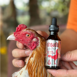 ไก่หน้าไม่แดง บำ.รุง ตั.บ อาหารไก่ (ชนิดน้ำ) อาหารไก่บรรจุขว…