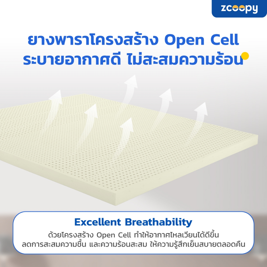 ✨ Zcoopy Oceana Supr