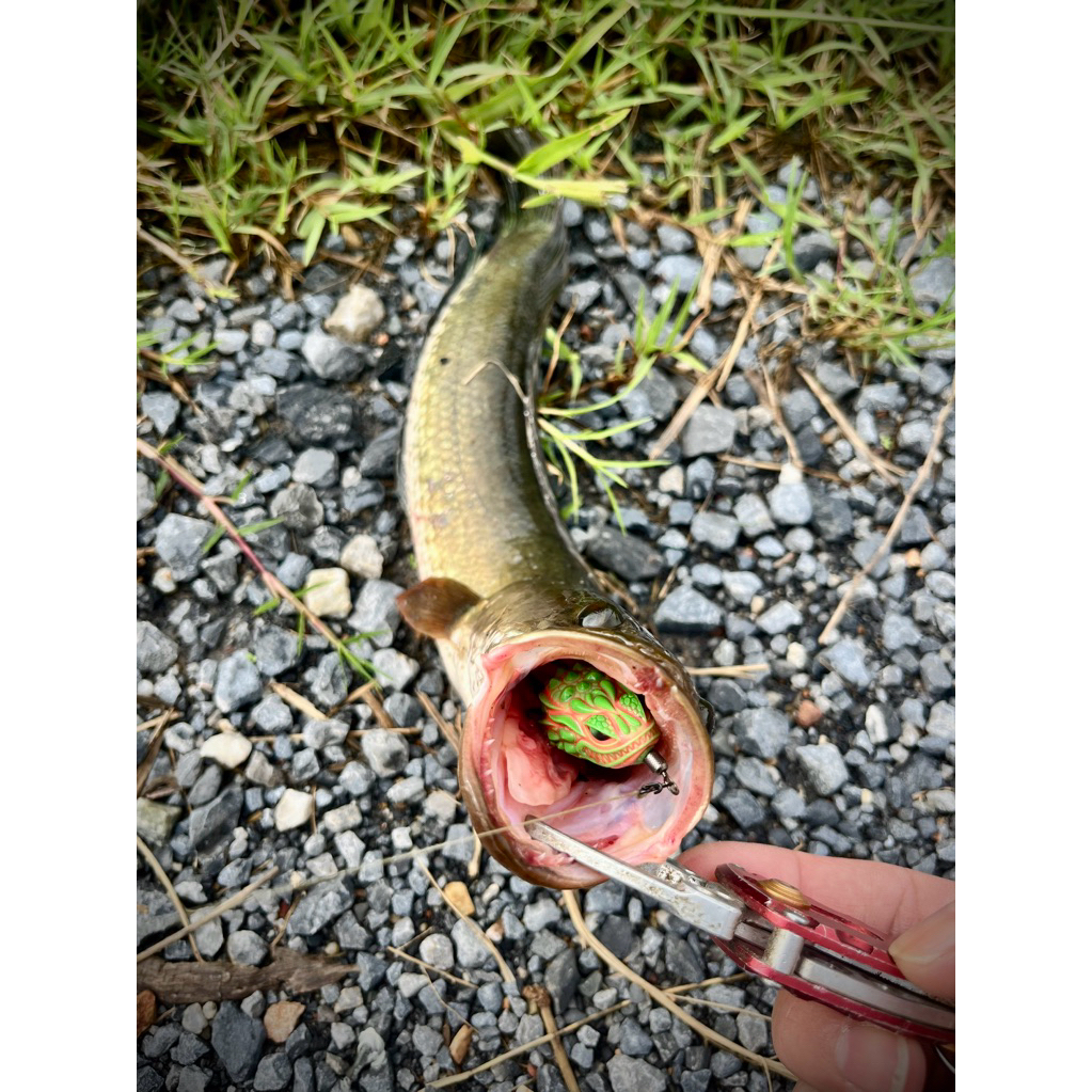 กบยาง GEN X 3.2cm/6.5g กบยางเจนเอ็กซ์ Fishing EZ ราคา ถูกที่สุด ดีลบีเคเค แกลเลอรีภาพที่ 3