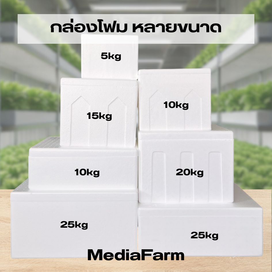 กล่องโฟม ลังโฟม บรรจุอาหาร เก็บความเย็น หลายขนาด