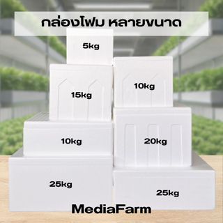 กล่องโฟม ลังโฟม บรรจุอาหาร เก็บความเย็น หลายขนาด