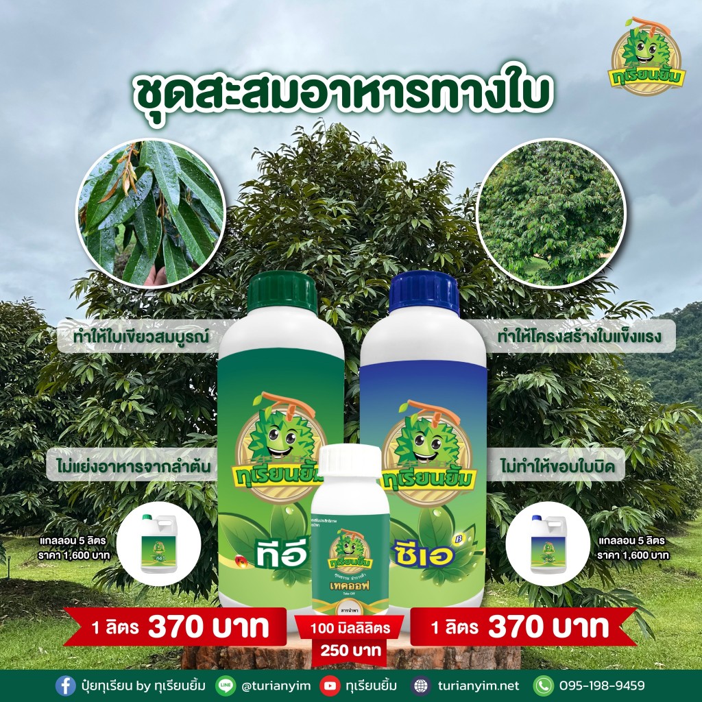 ซีเอ คีเลต Calcium Chelate Boron ช่วยบำรุงดอกเกสร ให้แข็งแรง ลดการหลุดร่วง พลิกลูกง่าย หนามไม่แตก น้ำหนักลูกดี แบ่งเซลล์