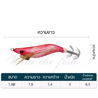 โยตกหมึกขนาด 1.8 น้ำหนัก 5กรัม มีเสียง เหยื่อตกหมึก R181