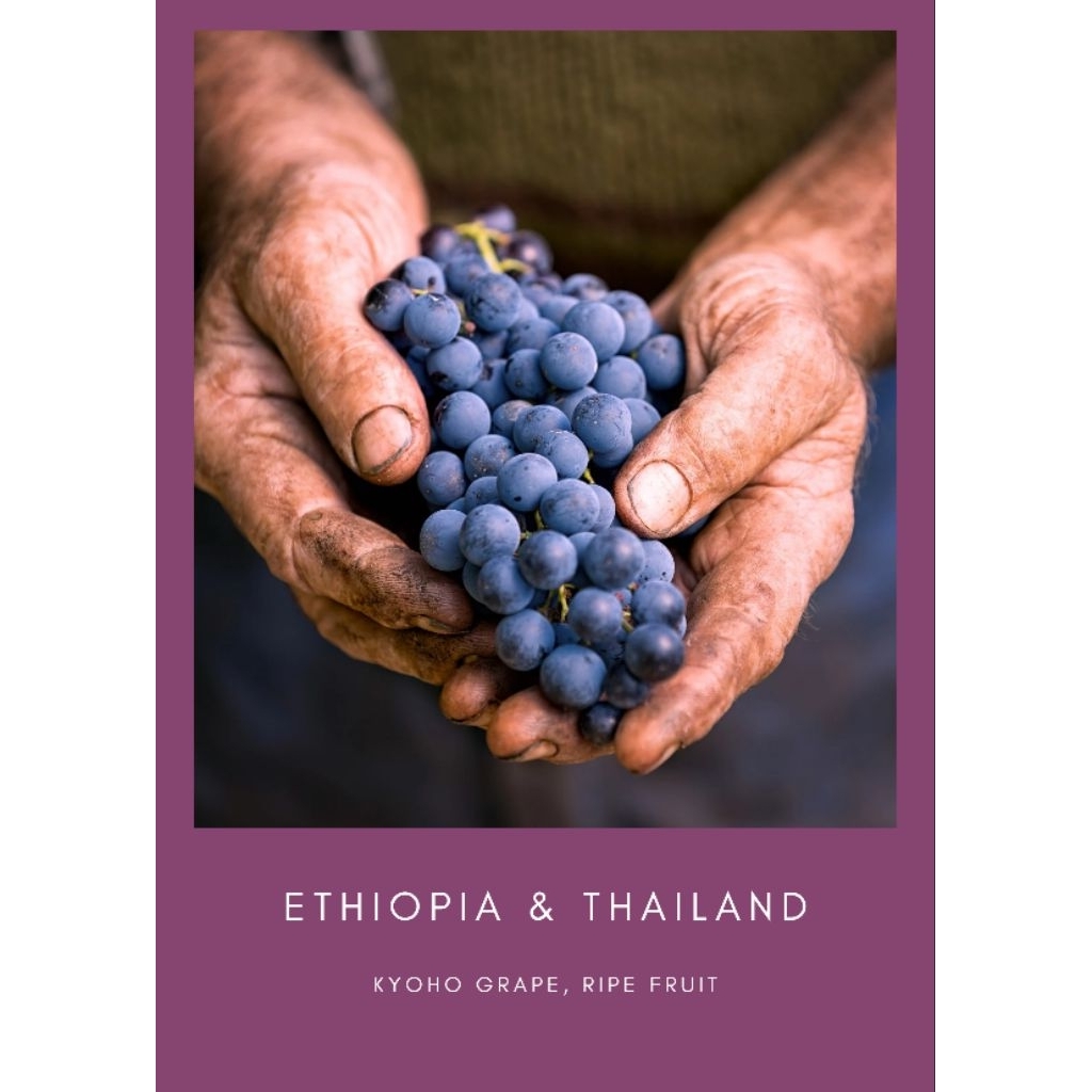 (อย่าลืม!เก็บโค้ดส่งฟรี! ขั้นต่ำ เริ่มต้น0บ.) เมล็ดกาแฟคั่วอ่อน Over Da Moon Grape