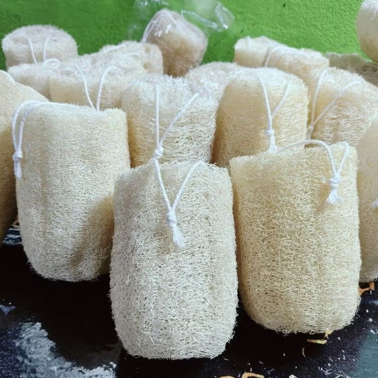 ใยบวบขัดผิว ตัดท่อนร้อยเชือก ใยหนา ขนาด12-15ซม.ไม่ฟอกสีเหมาะกับผิวแพ้ง่าย