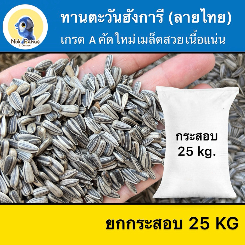 [กระสอบ25KG] เกรดA ทานตะวันฮังการีเม็ดเล็ก สำหรับนกแก้วและสัตว์ฟันแทะ เนื้อแน่น สะอาด