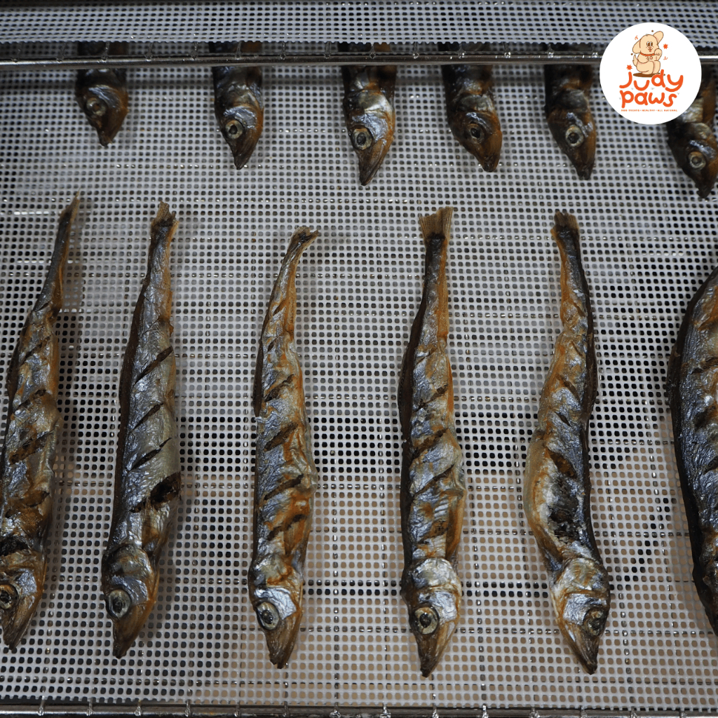 ปลาไข่อบแห้ง 80 กรัม ขนมสุนัข แมว JudyPaws Dried Capelin Fish 80g. ราคา ถูกที่สุด ดีลบีเคเค แกลเลอรีภาพที่ 2
