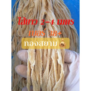 ไส้ยาว 2-4 เมตร ** เบอร์38บวก ** บรรจุ 10 แพ็ก ** ร้านทองสยา…