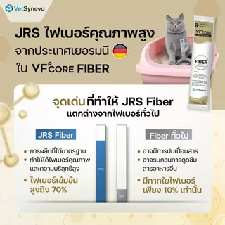 VFcore FIBER วิตามินแมวเลีย สูตรดูแลอาการท้องผูก ลดก้อนขน 1 กล่อง (30 ซอง)