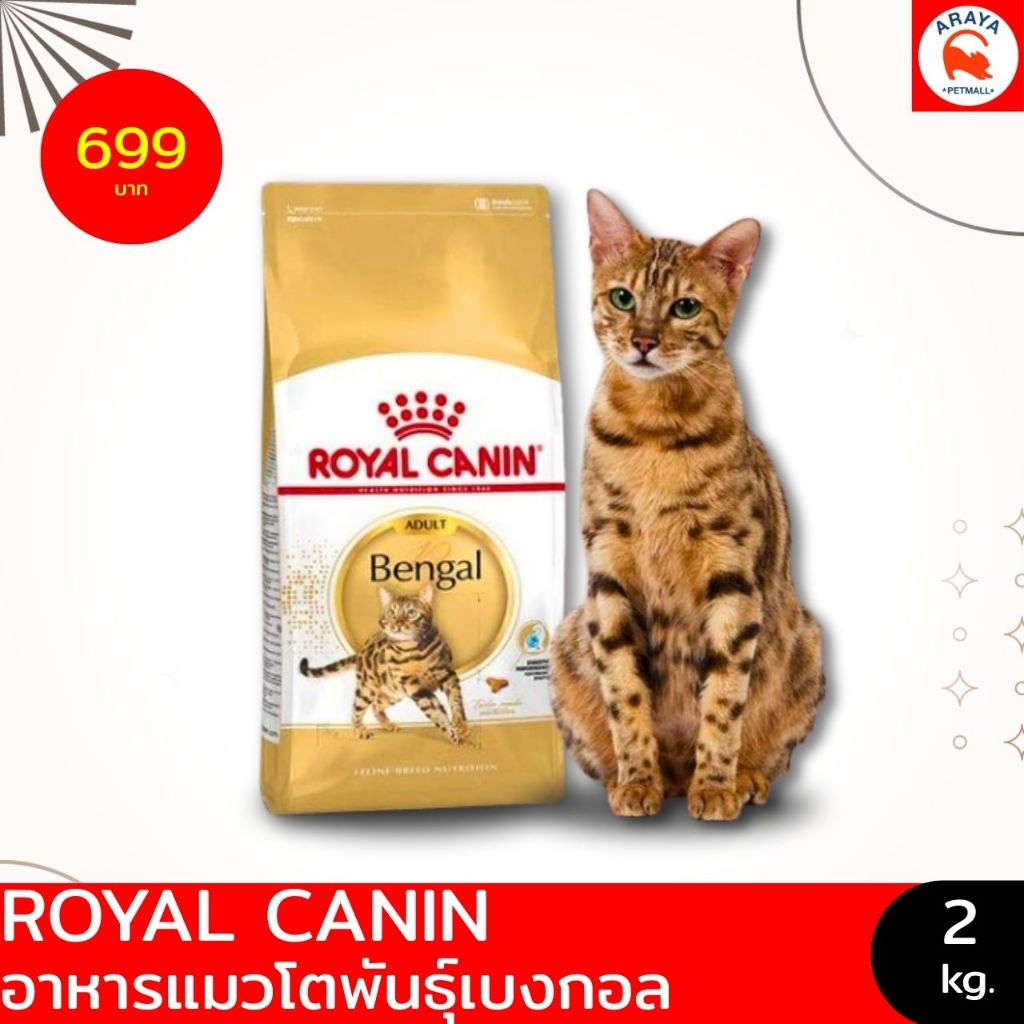 *2kg.* Royal Canin Bengal อาหารแมวโตพันธุ์เบงกอล ชนิดเม็ด (BENGAL ADULT) ขนาด2กิโล