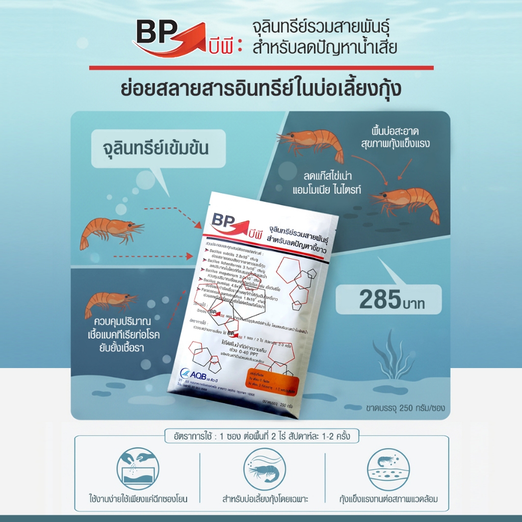 บีพี จุลินทรีย์รวมสายพันธุ์