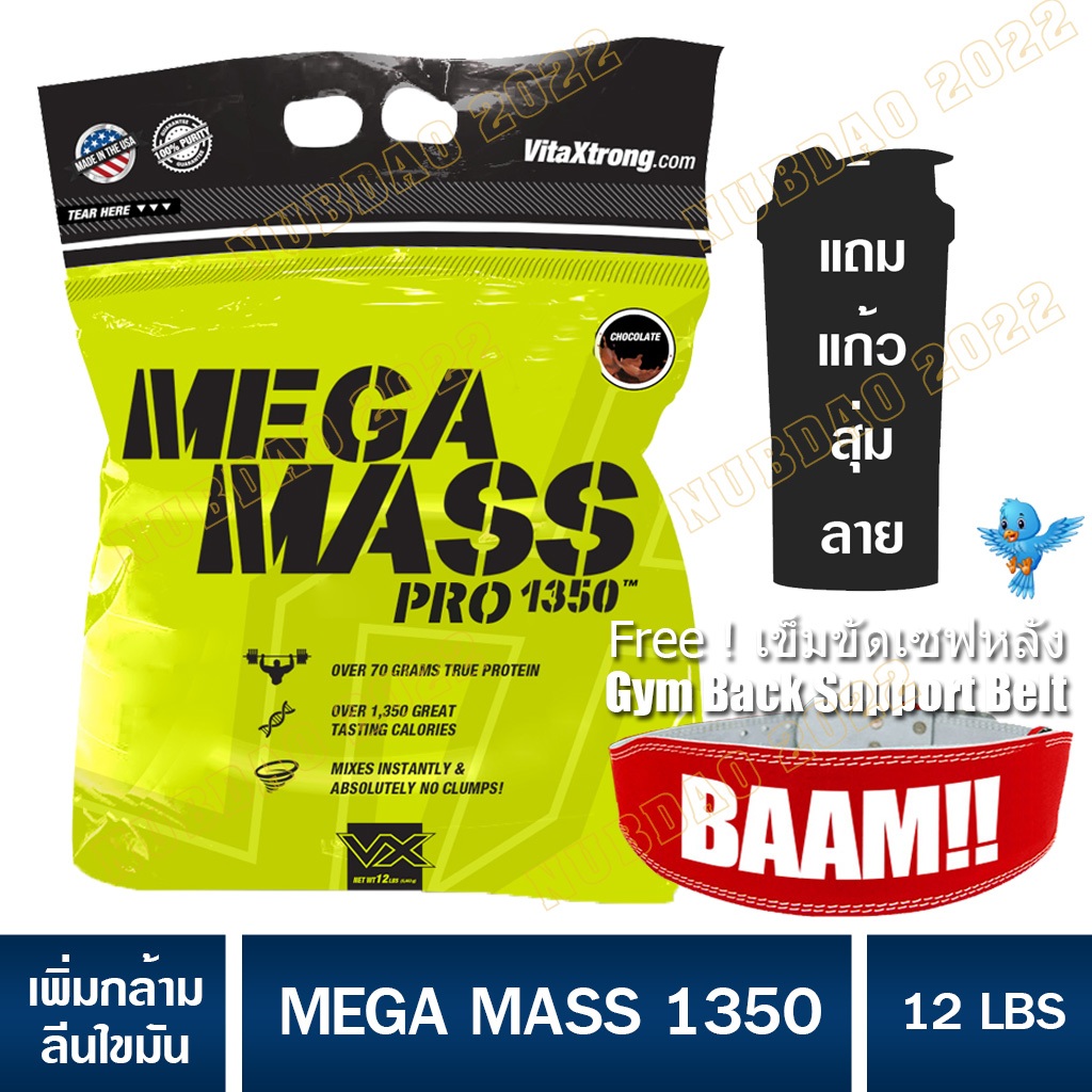MEGA MASS Pro 1350 ขนาด 12 LB เวย์เพิ่มโปรตีนน้ำหนัก เพิ่มกล้าม