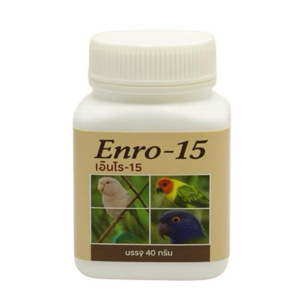 เอนโร 15 ดูแลลูกป้อน