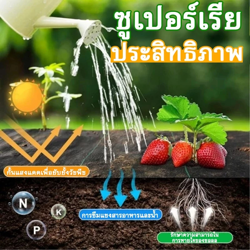 พลาสติกคลุมวัชพืช ผ้าคลุมหญ้า ผ่านการทดลองใช้งานจริง ฆ่าหญ้า1×5 1×20 2×50 1×100 2×100 3×100 กำจัดหญ้า พลาสติกคลุมดิน ราคา ถูกที่สุด ดีลบีเคเค แกลเลอรีภาพที่ 7