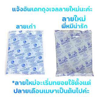 แพ็ค10ชิ้น เจลเก็บความเย็น40กรัม สำหรับลูกค้าที่ซื้อ1แพ็คและต้องการใช้โค้ดส่งฟรี