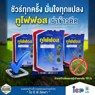 ทูโฟฟอส ICP 2,4 ดี บิวทิล กำจัด หญ้า ข้าวดีด ผักปอด 15 กิโลกรัม