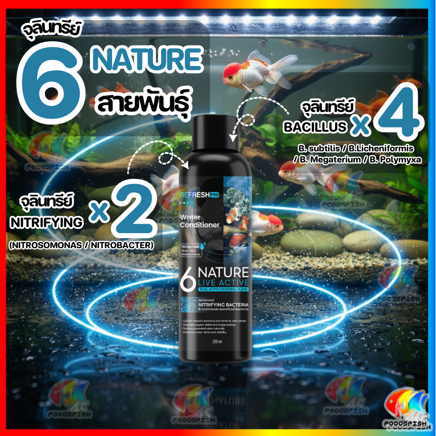 🆕6NATURE🆕จุลินทรีย์ตู้ปลา Nitrifying + Bacillus รวม 6 สายพันธุ์ น้ำใส ลดกลิ่น ตั้งตู้/บ่อปลา ไม้น้า