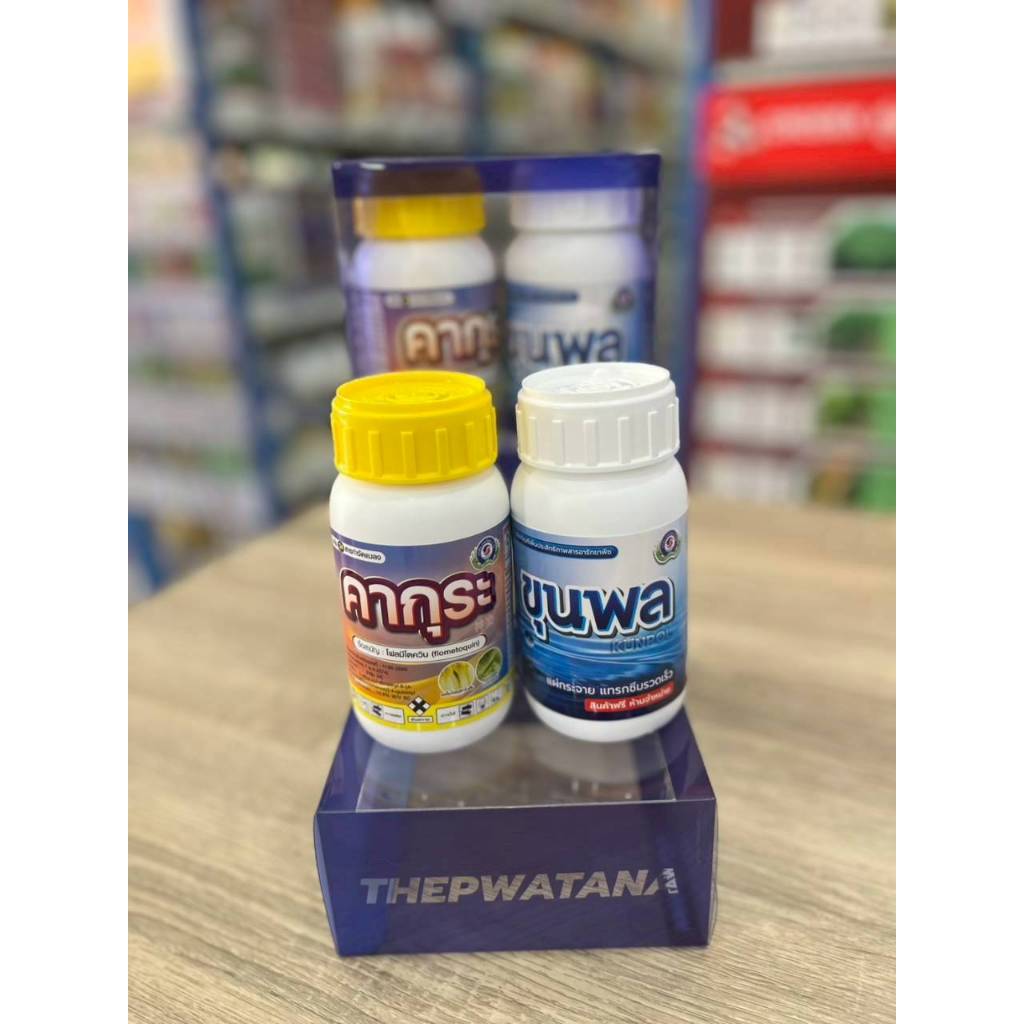 คากุระ+ขุนพล มิติใหม่แห่งการปกป้องพืช ตัวจบเพลี้ยไฟ - รูปที่ 2