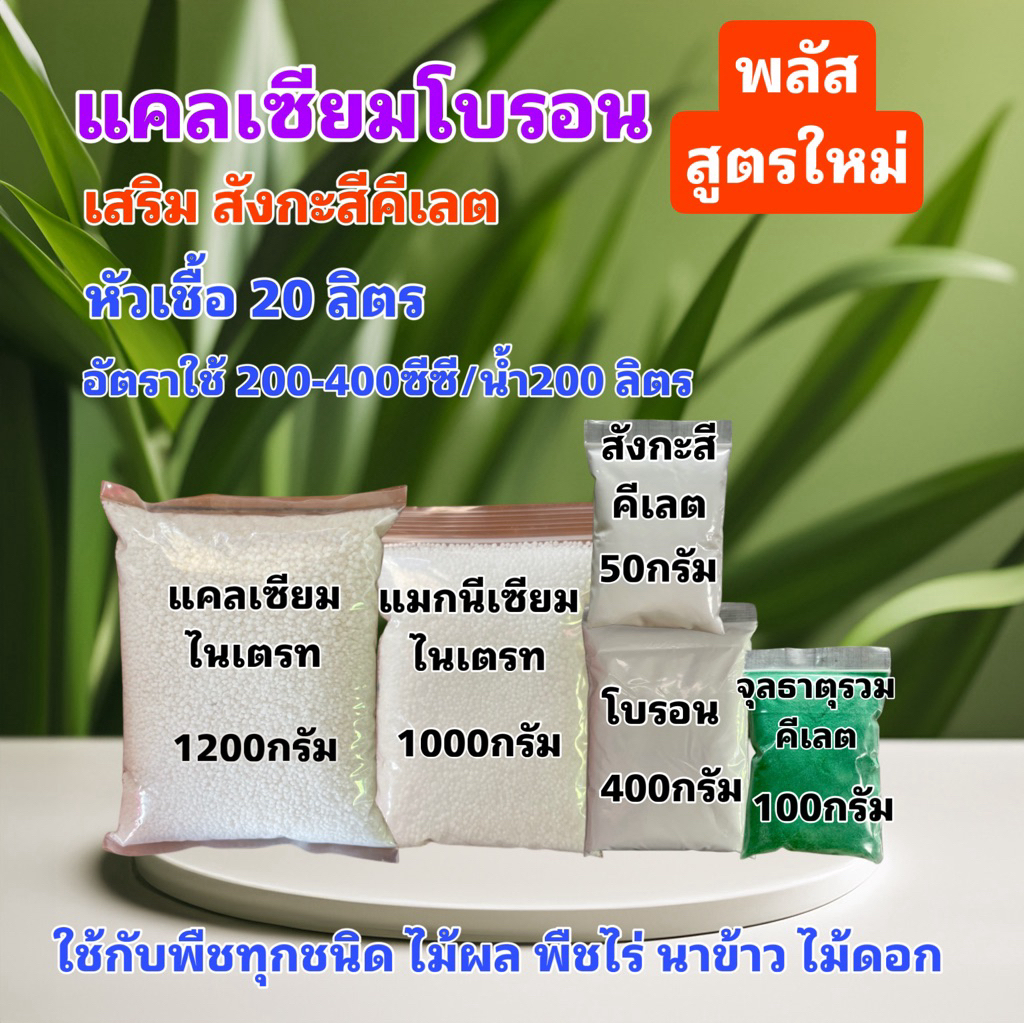 แคลเซียมโบรอน พลัสสูตรใหม่ หัวเชื้อ 20 ลิตร ผสมน้ำได้ 20,000 ลิตร สุดคุ้ม เพิ่มผลผลิต ขั้วเหนียว ไม่ตกตะกอน