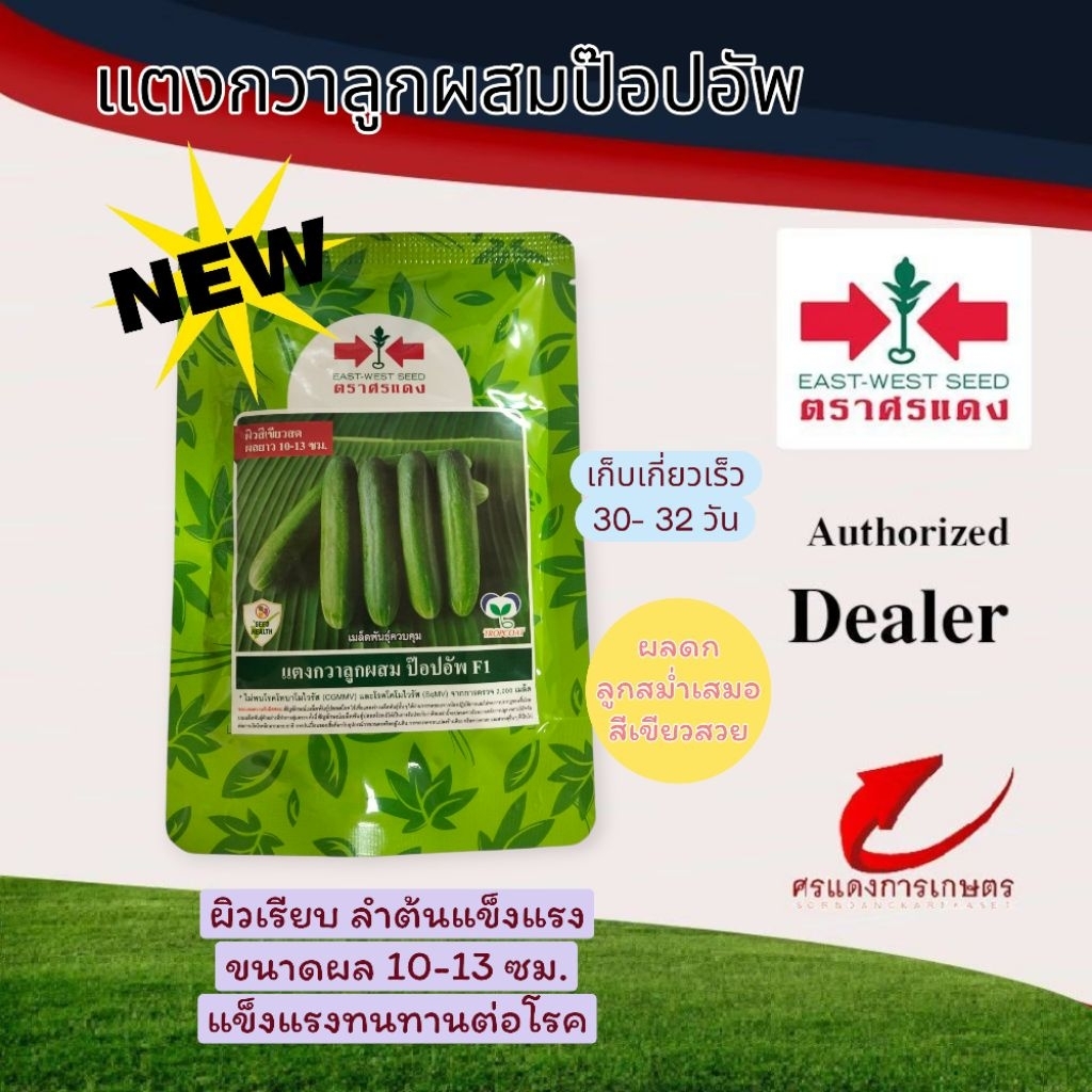 เมล็ดพันธุ์แตงกวาลูกผสมป๊อปอัพ 50กรัมและ100กรัม