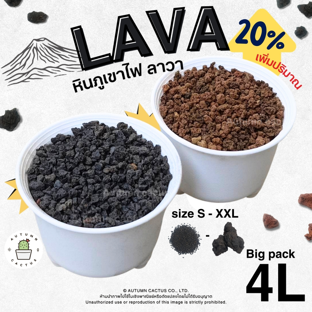 🌋⚫LAVA ROCK หินภูเขาไฟลาวา หินภูเขาไฟ ลาวาดำ ลาวาแดง มวลหนักใช้โรยหน้า ผสมดิน BIGPACK ! บรรจุ 4L (ประมาณ 3.5kg)